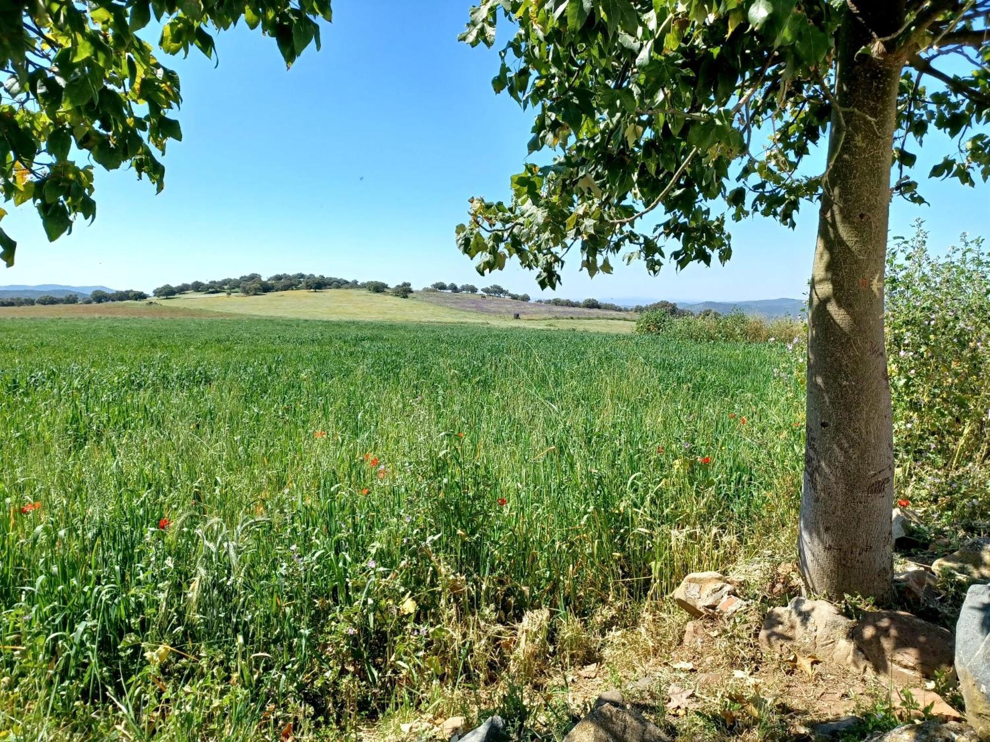 Casa Bibiana Villa Posadilla Buitenkant foto